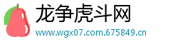 龙争虎斗网